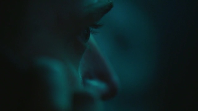 Video Reference: underwater, darkness, close up, macro photography, organism, computer wallpaper