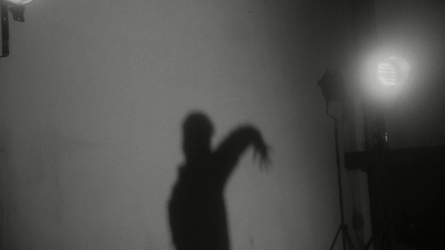 Video Reference: white, photograph, black, black and white, shadow, monochrome photography, darkness, atmosphere, light, photography