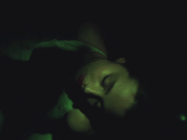 Video Reference: Green, Black, Darkness, Organism, Photography, Macro photography, Night