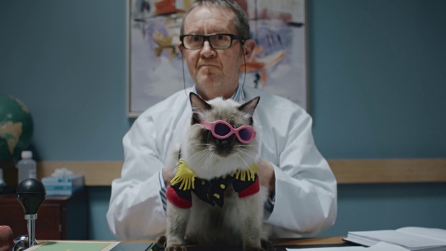 Video Reference: Whiskers, Glasses, Cat, Eyewear, Felidae, Vision care