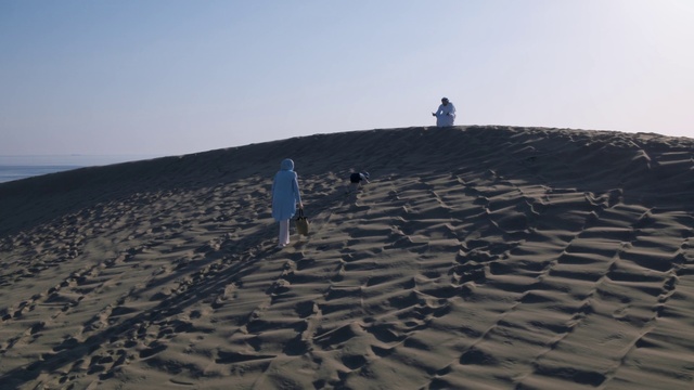 Video Reference: Sand, Natural environment, Sky, Landscape, Soil, Aeolian landform, Roof, Dune, Desert, Sea