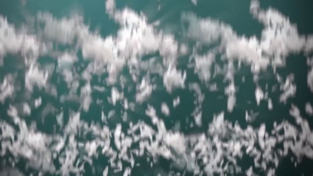 Video Reference: Sky, Cloud, Daytime, Water, Atmosphere, Cumulus, Meteorological phenomenon, Wave, Sunlight, Photography, Person, Outdoor, Snow, Photo, Skiing, Standing, Woman, Man, Holding, Mountain, Covered, Grass, White, Walking, Group, Riding, Field, Slope, People, Flying, Text