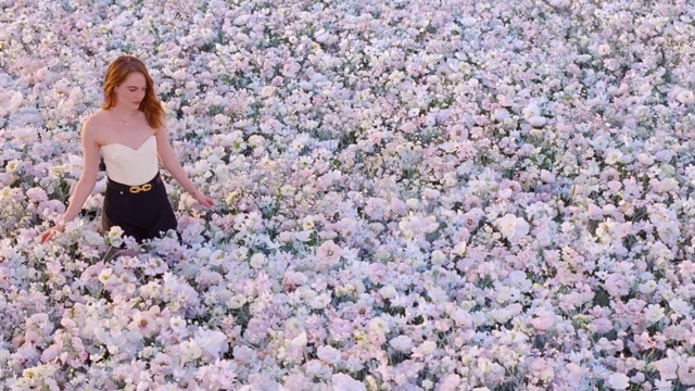 Video Reference: Flower, Spring, Blossom, Lilac, Plant, Petal, Cherry blossom, Dress, Photography, Lilac