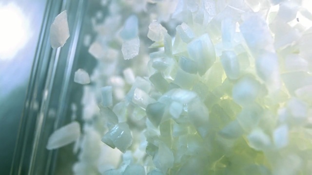 Video Reference: Green, Plant, Transparent material, Flower