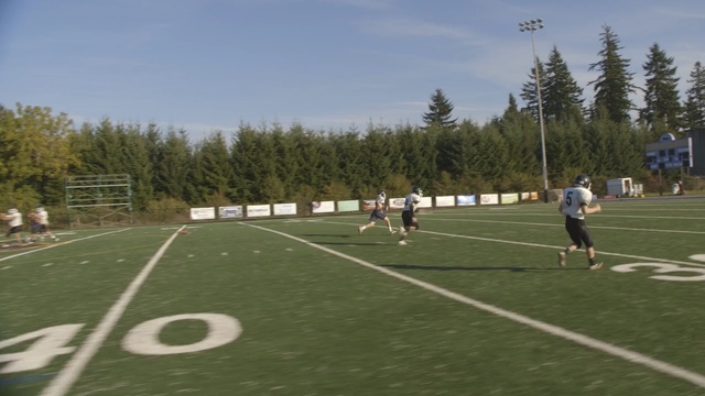 Video Reference: sports, sport venue, grass, team sport, plant, player, competition event, tournament, ball game, artificial turf, Person