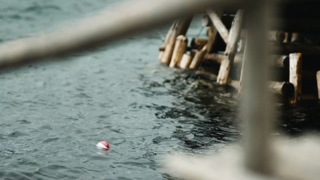 Video Reference: Water, Recreation, Leisure