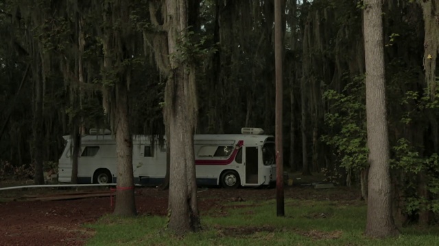 Video Reference: Woodland, Tree, Vehicle, Natural environment, Forest, Mode of transport, Woody plant, State park, Car, Plant