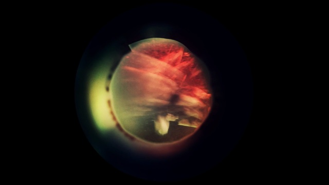 Video Reference: atmosphere, planet, sphere, computer wallpaper, sky, macro photography, earth, circle, astronomical object, organism