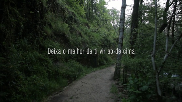 Video Reference: Vegetation, Nature reserve, Forest, Nature, Natural landscape, Tree, Natural environment, Old-growth forest, Tropical and subtropical coniferous forests, Jungle