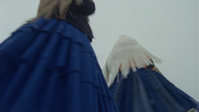 Video Reference: Blue, Outerwear, Clothing, Cobalt blue, Costume, Fur, Textile, Cloak, Long hair, Cape