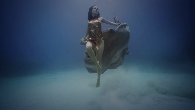 Video Reference: underwater, atmosphere, organism, water, darkness, sky, computer wallpaper, marine biology, cg artwork, stock photography