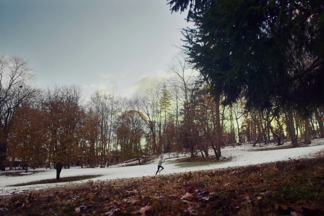 Video Reference: Sky, Tree, Snow, Winter, Nature, Natural landscape, Atmospheric phenomenon, Natural environment, Cloud, Freezing