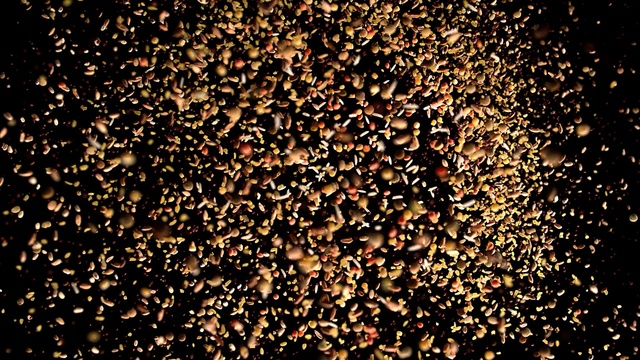 Video Reference: Confetti, Metal, Crowd