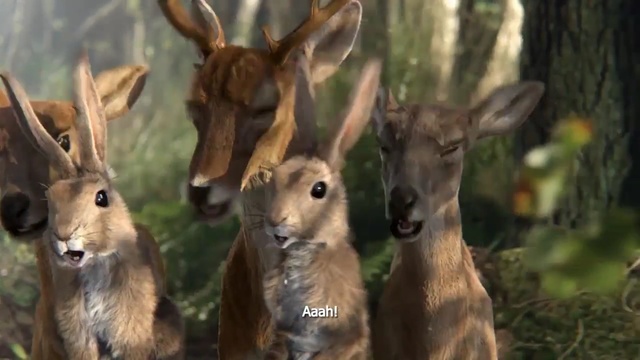 Video Reference: Mammal, Vertebrate, Wildlife, Terrestrial animal, Deer, Adaptation, Snout, Fawn, Roe deer, Herd, Person