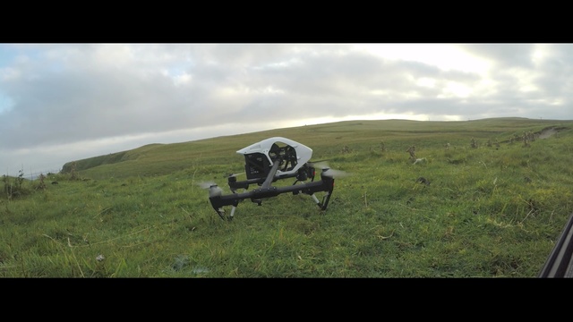 Video Reference: ecosystem, grassland, mode of transport, steppe, sky, hill, pasture, grass, ecoregion, prairie