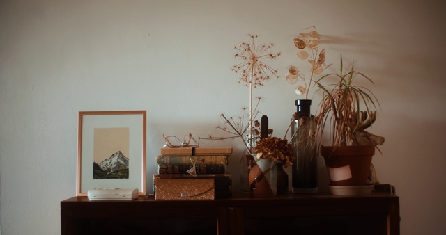 Video Reference: Houseplant, Room, Furniture, Interior design, Branch, Plant, Tree, Ikebana, Still life photography, Table