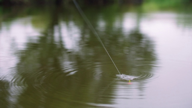Video Reference: Nature, Water, Green, Water resources, Reflection, Pond, River, Bank, Lake, Watercourse