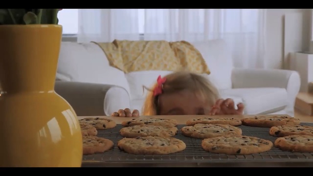 Video Reference: Cookies and crackers, Snack, Food, Chocolate chip cookie, Cookie, Baking, Baked goods, Cuisine, Dessert, Finger food, Person