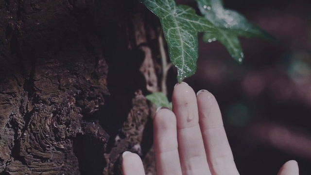 Video Reference: Finger, Leaf, Hand, Green, Soil, Nail, Adaptation, Plant, Thumb