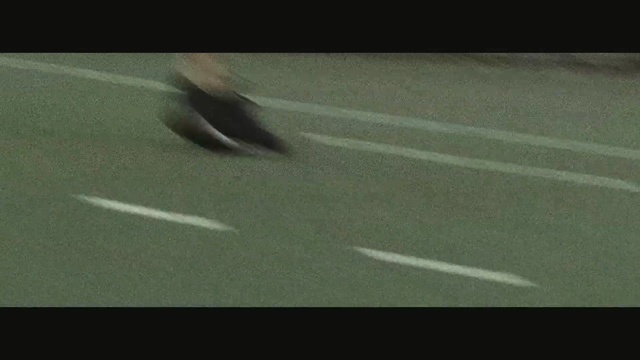 Video Reference: green, black, shadow, ecosystem, vertebrate, mode of transport, atmosphere, fauna, wing, bird