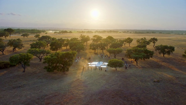 Video Reference: Natural environment, Morning, Landscape, Ecoregion, Plain, Sahara, Savanna, Desert, Rural area, Photography, Outdoor, Grass, Herd, Field, Cattle, Cow, Water, Sheep, Tree, Grazing, Walking, Path, Dirt, Sunset, Standing, Group, Horse, Body, Motorcycle, Large, Hill, Country, Street, Grassy, Man, Riding, River, Flock, Beach, Palm, Elephant, Ocean, Sky, Nature, Sunrise, Plant, Shore