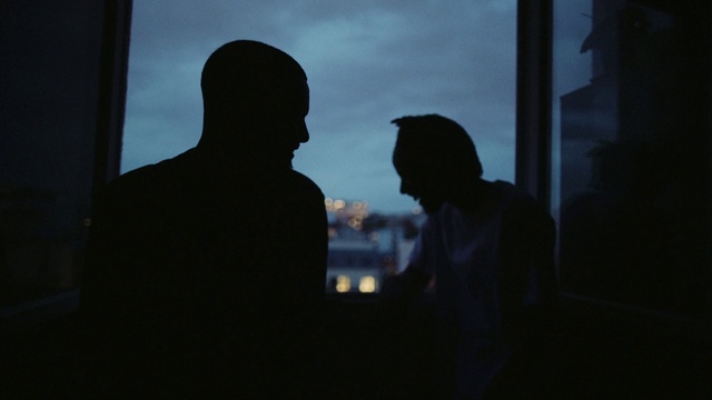 Video Reference: Photograph, Black, Sky, Backlighting, Darkness, Silhouette, Photography, Night, Tree, Shadow