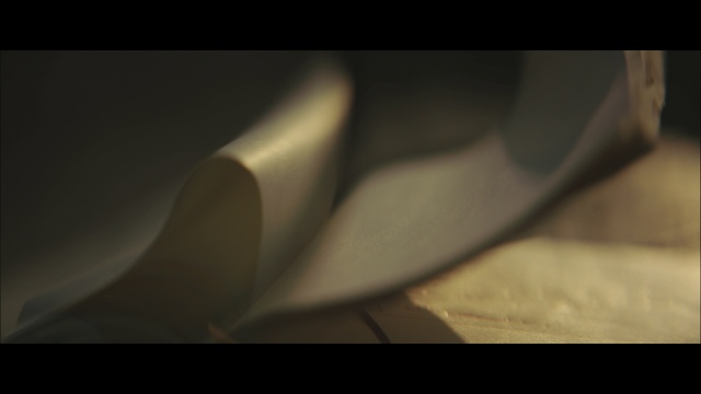 Video Reference: Black, Light, Shadow, Still life photography, Darkness, Close-up, Photography, Macro photography, Tints and shades, Stock photography