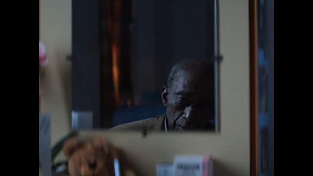 Video Reference: mammal, darkness, window, technology