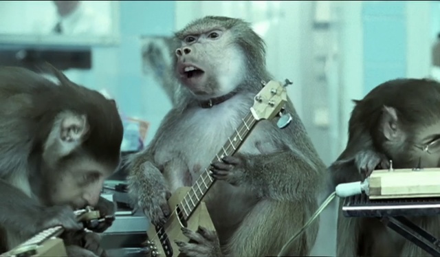 Video Reference: mammal, primate, fauna, organism, human, snout, macaque, old world monkey, Person