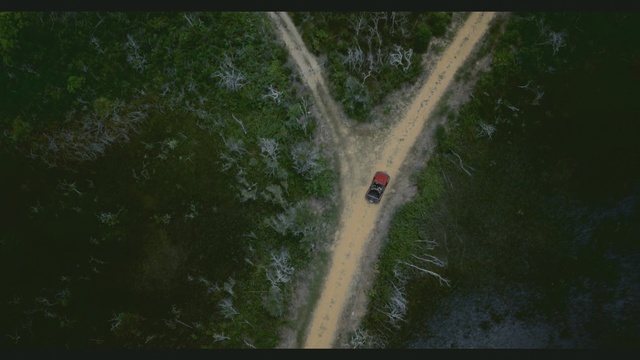 Video Reference: water, tree, river, forest, leaf, plant, adventure, water feature, jungle, sky