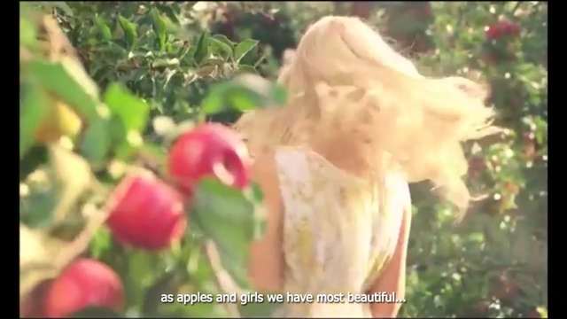 Video Reference: Blond, Flower, Plant, Petal, Organism, Tree, Rose family, Long hair, Shrub, Rose