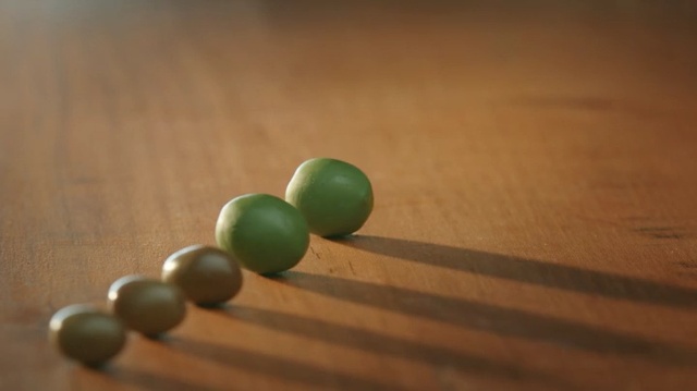 Video Reference: Green, Wood, Bead, Plant, Fashion accessory, Glass, Macro photography