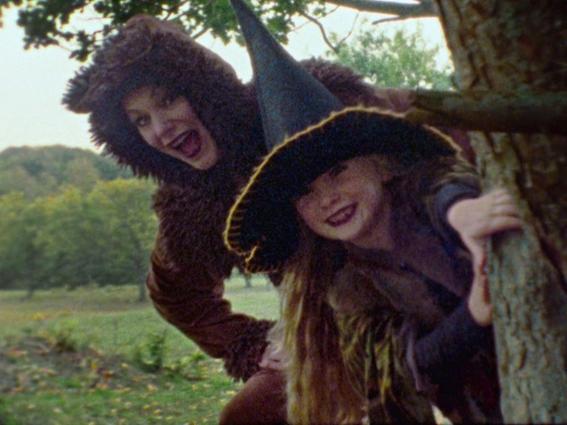 Video Reference: Smile, Fun, Leaf, Tree, Headgear, Adaptation, Photography, Plant, Happy, Fur