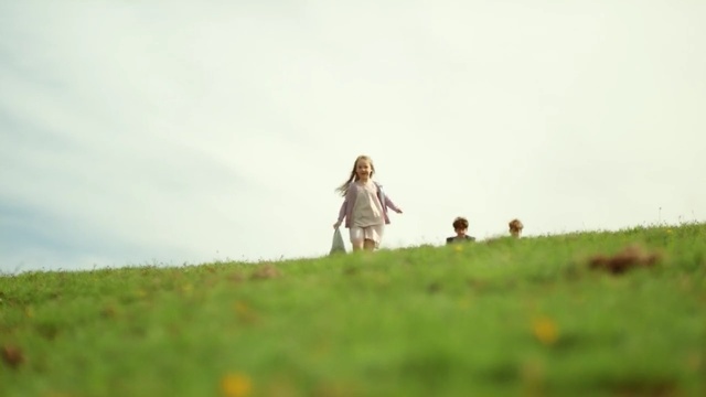 Video Reference: grassland, photograph, green, grass, sky, ecosystem, field, prairie, meadow, summer, Person