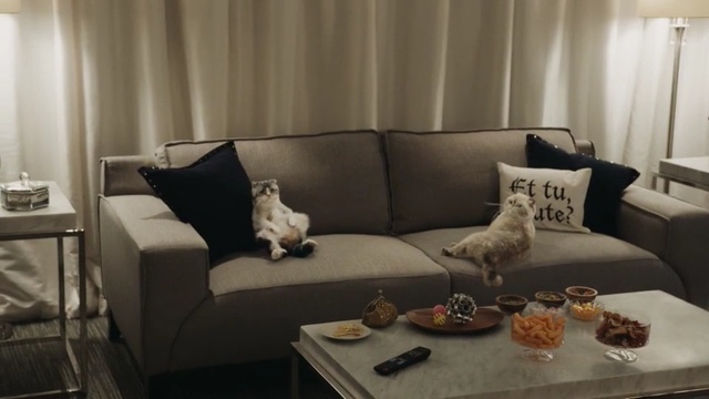 Video Reference: living room, room, furniture, interior design, home, couch, wall, table, suite, chair