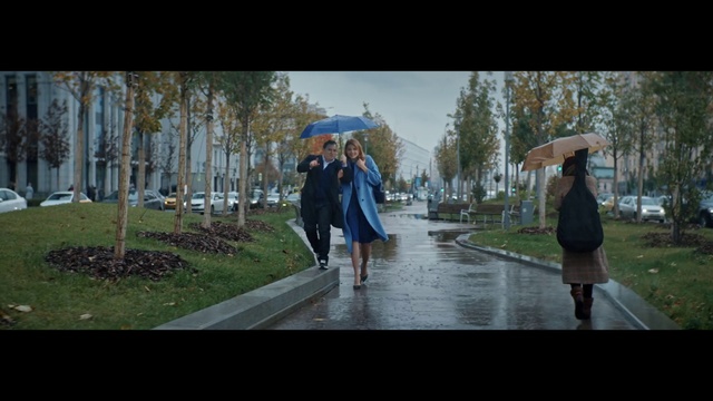 Video Reference: Photograph, People, Nature, Fun, Social group, Pedestrian, Snapshot, Public space, Walking, Photography