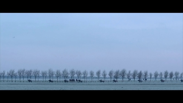 Video Reference: Sky, Horizon, Atmospheric phenomenon, Atmosphere, Morning, Water, Calm, Tree, Cloud, Winter