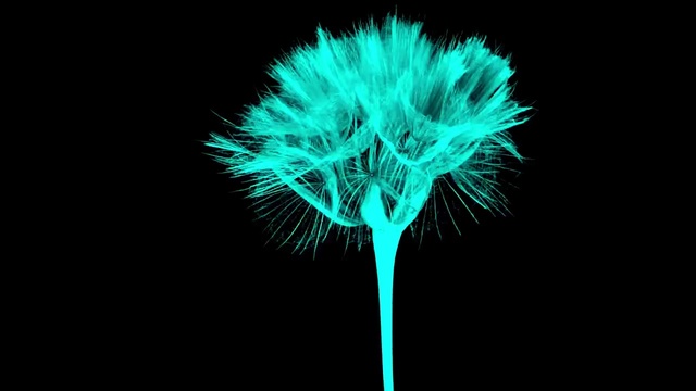Video Reference: Green, Tree, Electric blue, Plant, Graphics, Neon, Plant stem