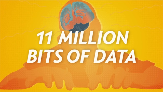 Video Reference: Font, Text, Yellow, Orange, Logo, Graphics, Brand, Graphic design, Illustration, Art, Person