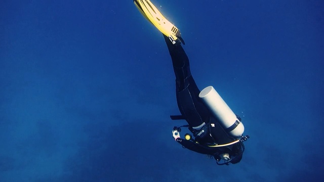 Video Reference: skate