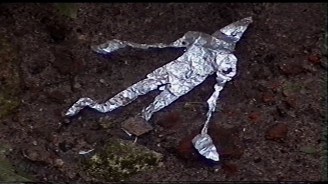 Video Reference: Art, Organism, Visual arts, Photography, Illustration, Soil, Space