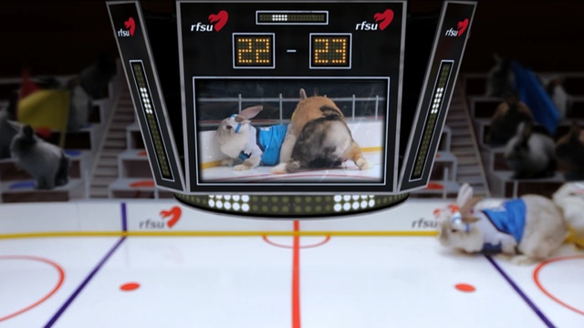 Video Reference: sport venue, games, player, indoor games and sports, technology, structure, product, play, sports, ice hockey position, Person