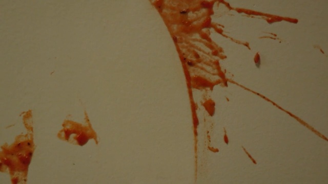 Video Reference: Orange, Stain, Organism, Copepod, Drawing, Art, Person