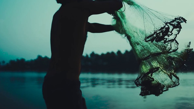 Video Reference: Water, Green, Reflection, Sky, Tree, Photography, Lake, Sea, Cloud, Landscape