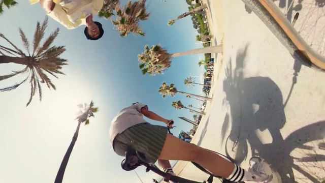 Video Reference: Cool, Tree, Selfie, Plant, Leisure, Vacation, Adventure