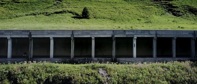 Video Reference: grass, rural area, tree, plant, landscape, sky