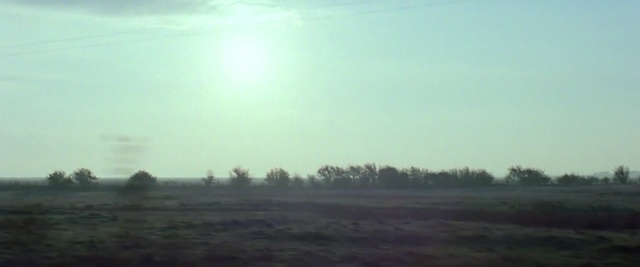 Video Reference: sky, atmosphere, field, morning, mist, horizon, plain, grassland, tree, rural area
