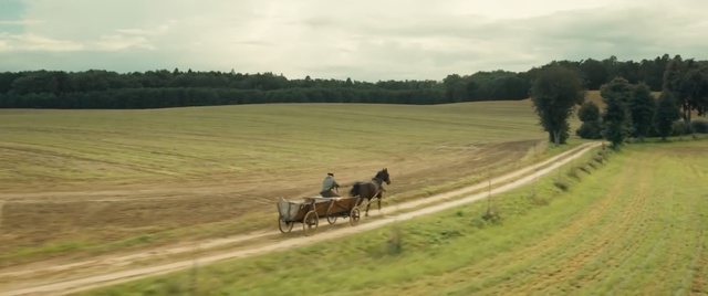 Video Reference: Grassland, Horse, Pasture, Natural environment, Rural area, Ecoregion, Plain, Steppe, Field, Farm