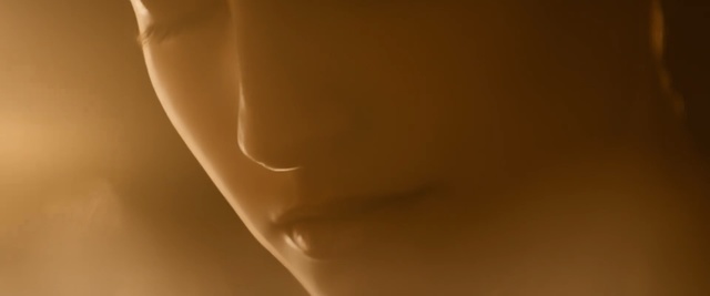 Video Reference: close up, macro photography, sunlight, computer wallpaper, abdomen, joint