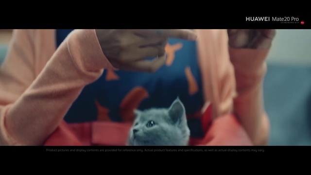 Video Reference: Cat, Felidae, Snapshot, Arm, Russian blue, Mouth, Human, Photo caption, Kitten, Joint, Person